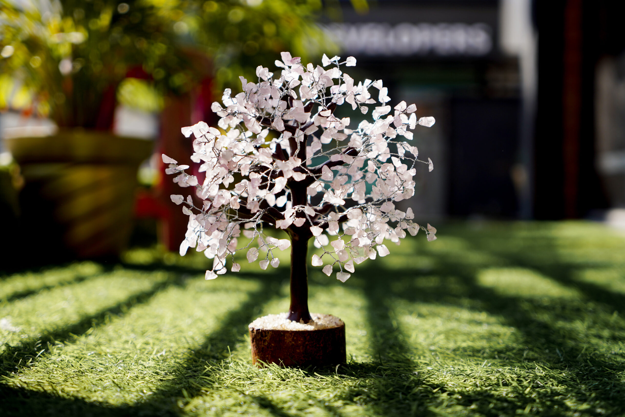 What is Crystal Tree and It Benefits