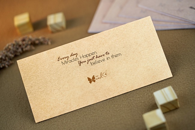 Miracle Abundance Cheque Book