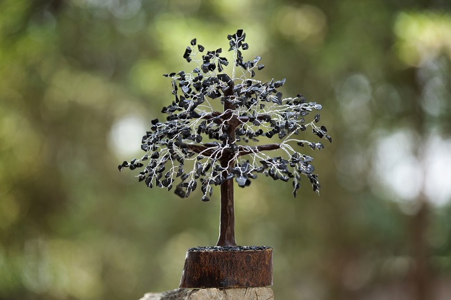 Feng Shui Brass Tortoise with glass Plate